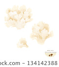 Watercolor illustration of white maitake mushrooms 134142388