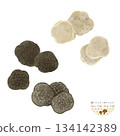 Mushrooms of the World <Watercolor illustrations of black truffles and white truffles> 134142389