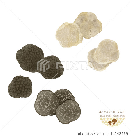 Mushrooms of the World <Watercolor illustrations of black truffles and white truffles> 134142389
