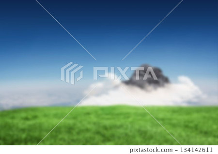 Grassy field by mountain 134142611