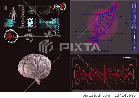 Human brain with various medical reports 134142686