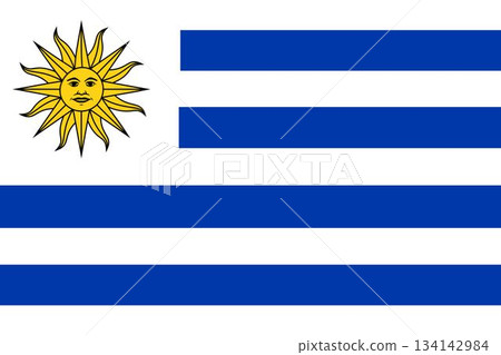 Uruguay national flag is being shown full-width in flat vector style with transparent background 134142984