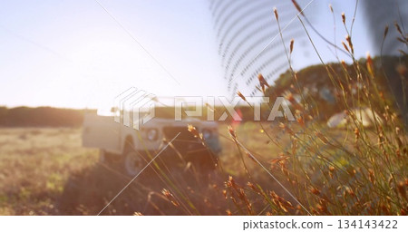 Showing tall dry grass stalks swaying in rural meadow at sunset, with off-road vehicle, copy space 134143422