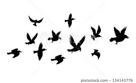Flying flock of birds silhouette, Simple swallows in flight, crows in the sky. Group of birds border. Flying flock of birds silhouette, Simple swallows in flight, crows in the sky. Group of birds border. 134143776