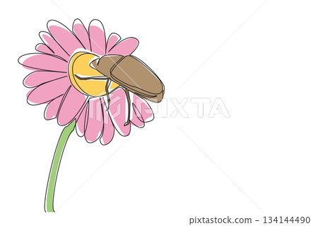 Simple continuous line drawing of a june bug on a daisy flower, symbolizing nature concept and insect life, created to celebrate June Bug Day as an international event design theme. 134144490