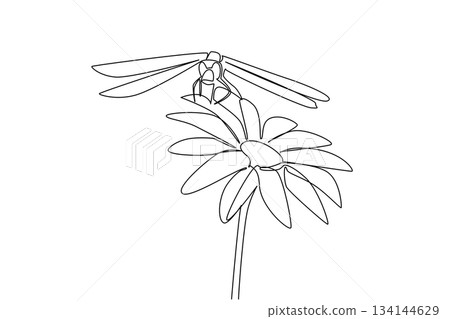 Continuous line drawing of a dragonfly resting on a flower, symbolizing elegance, transformation, and harmony in nature. This nature concept design highlights the theme of National Dragonfly Day. 134144629