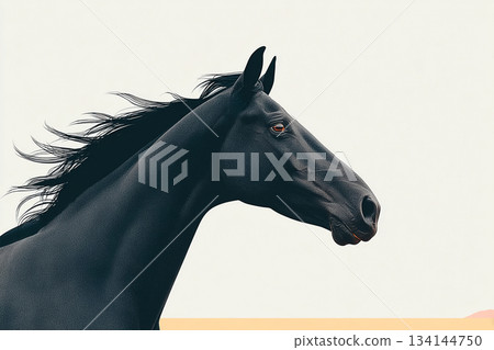 白色背景上的馬匹插圖——可用於廣告和新年賀卡 白色背景上的馬匹插圖——可用於廣告和新年賀卡 134144750