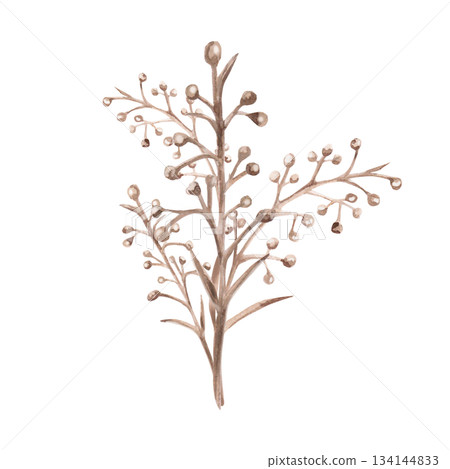 A bouquet of steppe flowers. Isolated watercolor illustration for interior design, eco-projects, travel agency websites and brochures, corporate identity, and apparel printing. A bouquet of steppe flowers. Isolated watercolor illustration for interior design, eco-projects, travel agency websites and brochures, corporate identity, and apparel printing. 134144833