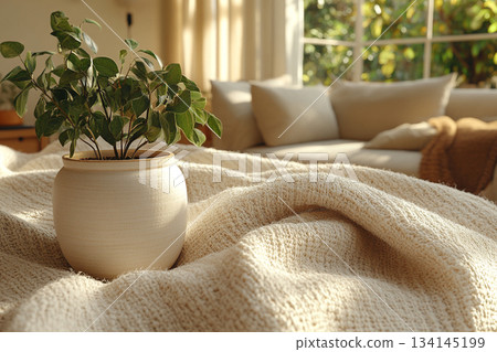 Scandinavian Minimalist Interior With Soft Natural Light 134145199