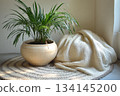 Scandinavian Minimalist Interior With Soft Natural Light 134145200