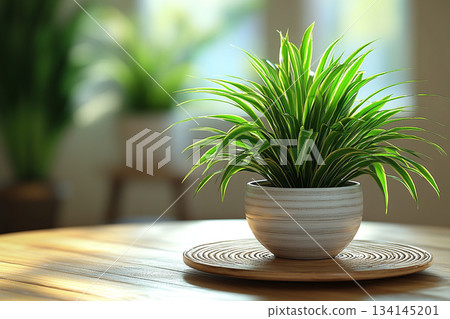 Scandinavian Minimalist Interior With Soft Natural Light Scandinavian Minimalist Interior With Soft Natural Light 134145201