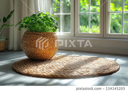 Scandinavian Minimalist Interior With Soft Natural Light Scandinavian Minimalist Interior With Soft Natural Light 134145203