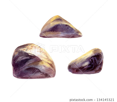 Stones set bathed in sunset light,casting violet shadows.Hand drawn isolated illustration painted in soft watercolor with bold contrast,natural scene for zen design,spa branding,beach landscape 134145321