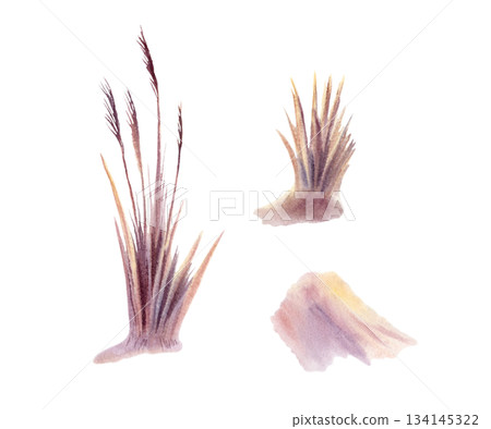 Pampas grass in golden and purple sunset tones,as two contrasting corner elements.Painted with delicate watercolor textures,soft gradients,botanical set for coastal branding,elegant sunset landscape 134145322