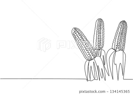 Continuous line drawing of corn plants with ripe ears, representing agriculture and harvest. This nature concept highlights National Corn on the Cob Day with a minimalist style vector theme. Continuous line drawing of corn plants with ripe ears, representing agriculture and harvest. This nature concept highlights National Corn on the Cob Day with a minimalist style vector theme. 134145365