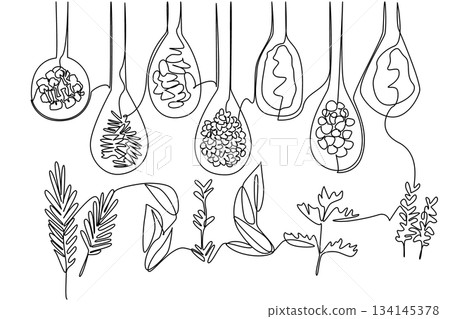 Single line drawing featuring spoons filled with various herbs and spices, representing culinary diversity, designed as a food concept illustration for National Herbs and Spices Day celebration. 134145378