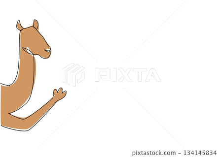One line drawing of a camel waving its leg behind a wall, symbolizing desert life in a nature concept for international desert day theme, done in minimalist vector sketch style. 134145834