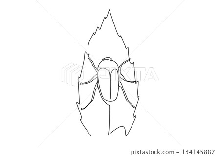 Continuous line drawing of a june bug resting on a leaf, symbolizing nature concept and biodiversity for June Bug Day, highlighting insects role in ecosystems and environmental balance. Continuous line drawing of a june bug resting on a leaf, symbolizing nature concept and biodiversity for June Bug Day, highlighting insects role in ecosystems and environmental balance. 134145887