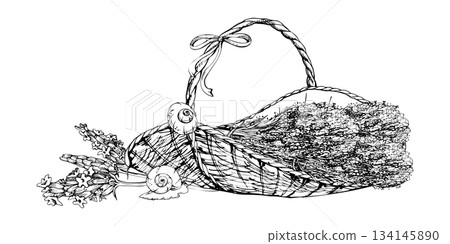 Rustic oval basket of lavender lavandula bundles, bow and garden snails, single flower stalks. Isolated illustration hand drawn in vector ink. Wellness spa gifts, soap or candle sets, bedroom charm Rustic oval basket of lavender lavandula bundles, bow and garden snails, single flower stalks. Isolated illustration hand drawn in vector ink. Wellness spa gifts, soap or candle sets, bedroom charm 134145890