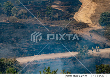 Firefighters Assessing Aftermath of a Forest Fire 134145892