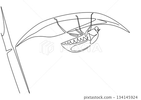 Single line drawing of a june bug hanging under a leaf, reflecting nature concept and June Bug Day theme, emphasizing ecological awareness, insect life cycles, and environmental harmony. 134145924