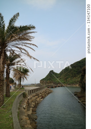 The beautiful scenery of Taiwan's tropical coastline The beautiful scenery of Taiwan's tropical coastline 134147100