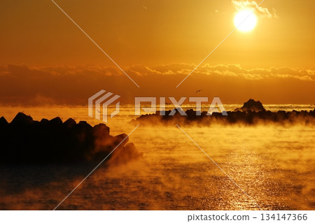 A fantastic winter sunrise at Kure Bay (Nakatosa Town, Kochi Prefecture) 134147366
