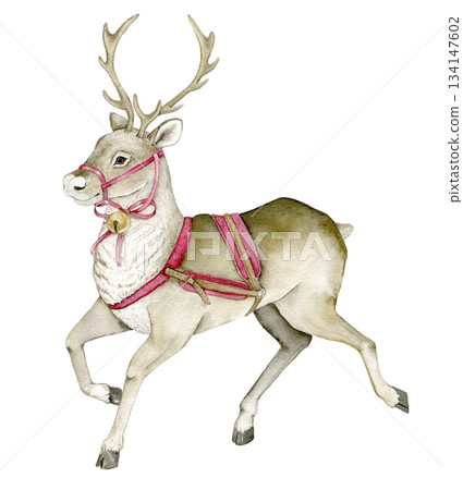 Christmas watercolor reindeer with a golden bell, red harness. For holiday cards, New Year invitations, winter decorations, festive prints, Santa sleigh clipart, crafts, postcards or scrapbooking. 134147602