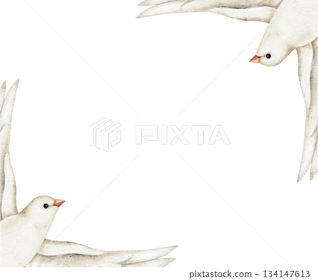 Frame with white doves with open wings, watercolor pastel card border for sympathy templates, spiritual messages, peace announcements, memorial invitations, or gentle memorial design. Frame with white doves with open wings, watercolor pastel card border for sympathy templates, spiritual messages, peace announcements, memorial invitations, or gentle memorial design. 134147613