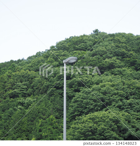 森林與城市交會處，路燈點綴其間，構成美麗的風景。 134148023