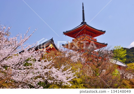 Spring in Kyoto: Cherry blossoms and Kiyomizu-dera Temple Spring in Kyoto: Cherry blossoms and Kiyomizu-dera Temple 134148049