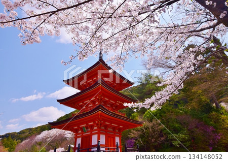 Spring in Kyoto: Cherry blossoms and Kiyomizu-dera Temple Spring in Kyoto: Cherry blossoms and Kiyomizu-dera Temple 134148052