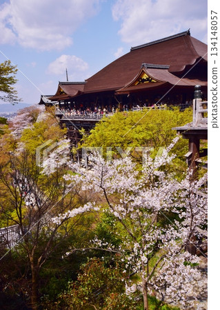 Spring in Kyoto: Cherry blossoms and Kiyomizu-dera Temple Spring in Kyoto: Cherry blossoms and Kiyomizu-dera Temple 134148057