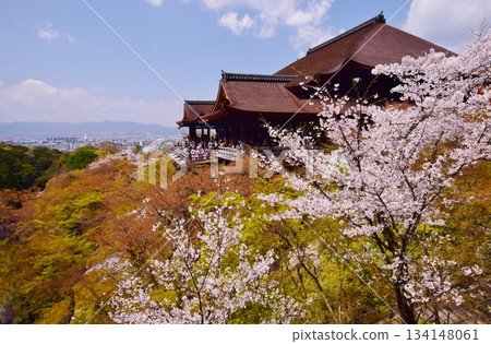 Spring in Kyoto: Cherry blossoms and Kiyomizu-dera Temple Spring in Kyoto: Cherry blossoms and Kiyomizu-dera Temple 134148061