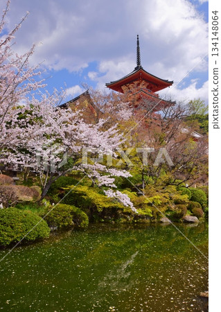 Spring in Kyoto: Cherry blossoms and Kiyomizu-dera Temple Spring in Kyoto: Cherry blossoms and Kiyomizu-dera Temple 134148064
