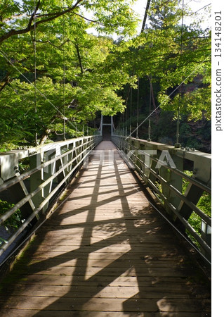 Suspension bridge over the valley Suspension bridge over the valley 134148201
