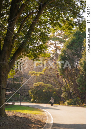 秋季公園散步 秋季公園散步 134148394