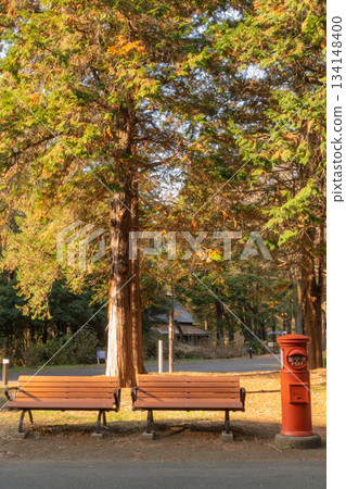 一個時間靜靜流逝的地方 134148400