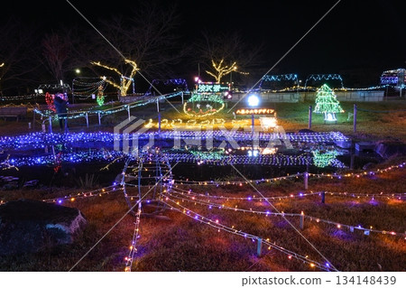 西淵公園燈光秀 西淵公園燈光秀 134148439