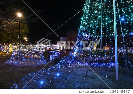 西淵公園燈光秀 西淵公園燈光秀 134148477