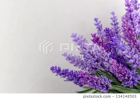 Lavender flowers bouquet composition in the corner against white background, spring background layout, copy space. 134148501