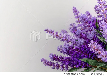 Lavender flowers bouquet composition in the corner against white background, spring background layout, copy space. 134148502