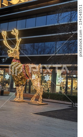 Illuminated reindeer sculpture with glowing lights and festive decorations outside a modern building. Concept of holiday cheer, urban Christmas decor and magical winter ambiance 134148551