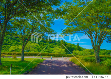 秋田市的清新綠意 134148753