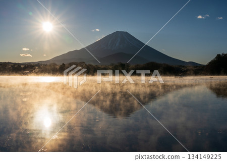Mount Fuji and the morning sun reflected on the lake surface from the shore of Lake Shoji Mount Fuji and the morning sun reflected on the lake surface from the shore of Lake Shoji 134149225