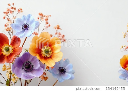 A beautiful bouquet of fresh spring colorful pastel and vivid flowers, flat lay on a white background. Text space available for beautiful fresh and dry flowers on a white background in a flat lay. 134149455
