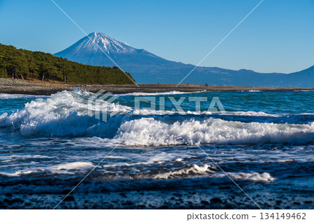 Miho no Matsubara and Mt. Fuji from Miho Coast in the morning Miho no Matsubara and Mt. Fuji from Miho Coast in the morning 134149462