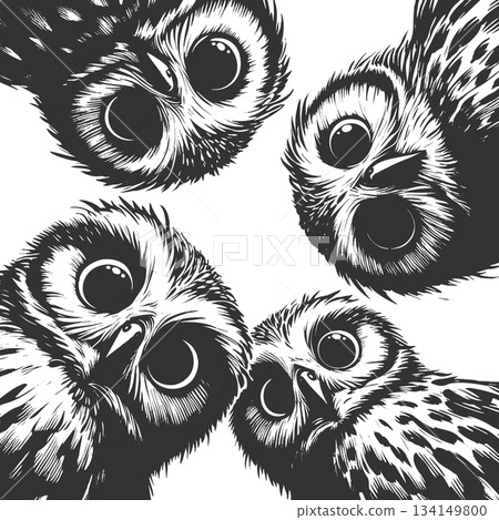 Curious Owls Looking Down engraving sketch raster 134149800