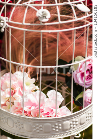 White birdcage decorated with pink flowers and feathers for wedding ceremony White birdcage decorated with pink flowers and feathers for wedding ceremony 134150185