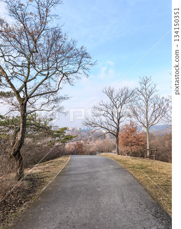 Winding path leading to prague skyline on a crisp winter day in palmovka Liben district Thomayer Gardens Winding path leading to prague skyline on a crisp winter day in palmovka Liben district Thomayer Gardens 134150351